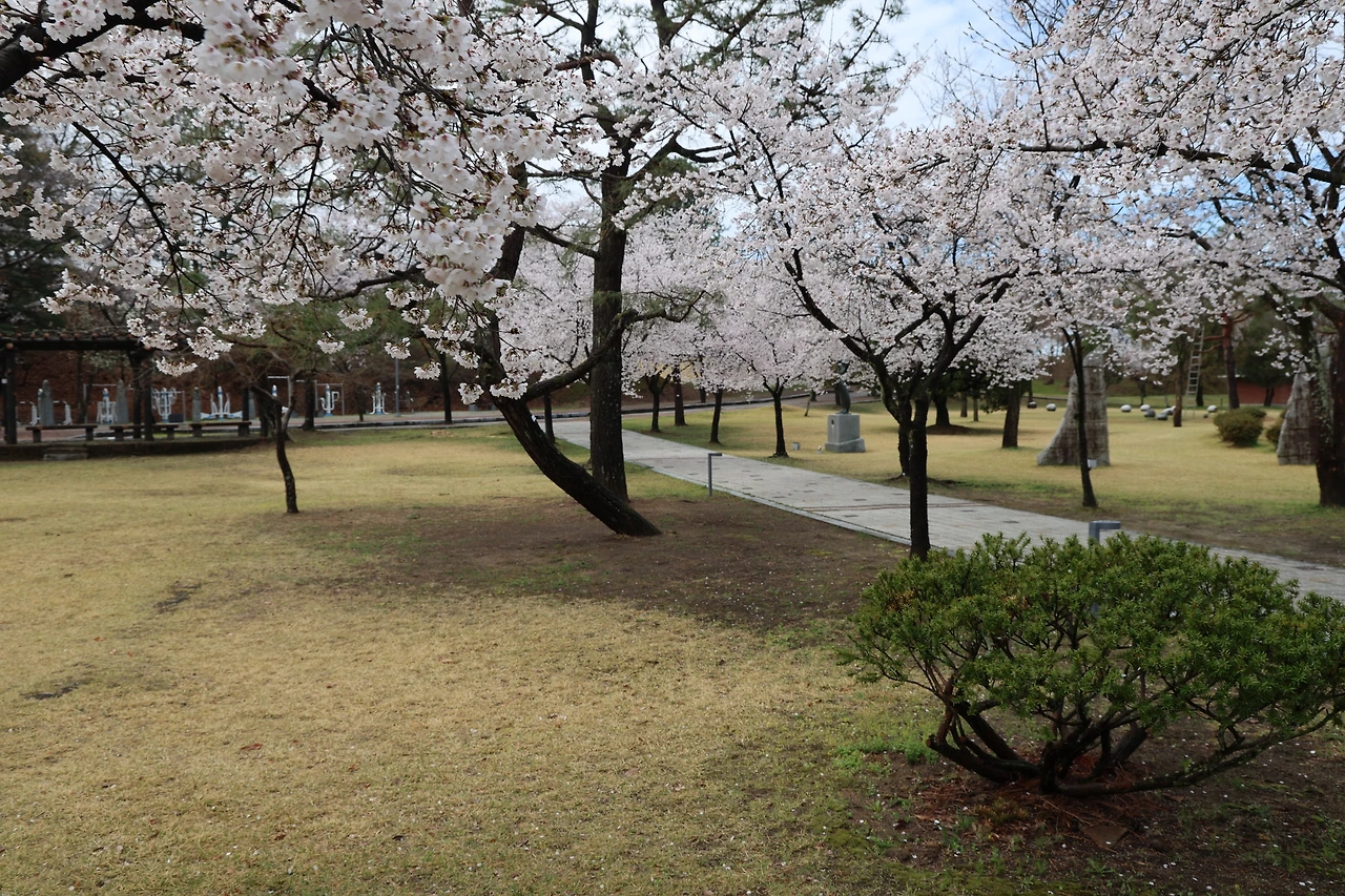 0R5A7326_новый размер.JPG