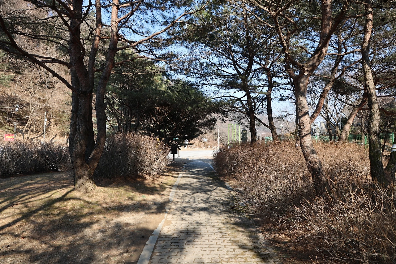 0R5A1281_новый размер.JPG