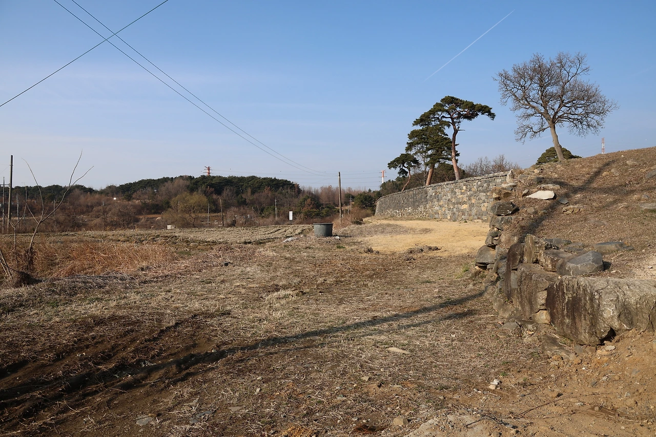 0R5A3894_новый размер.JPG