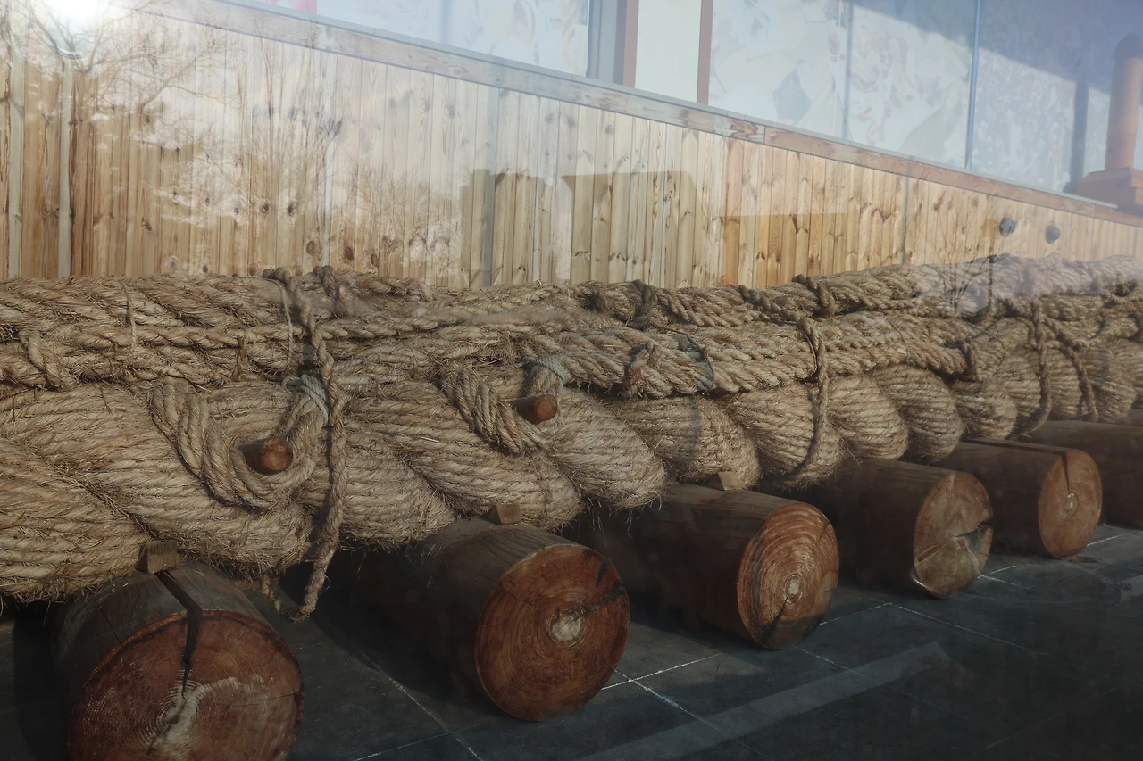 0R5A5410_новый размер.JPG