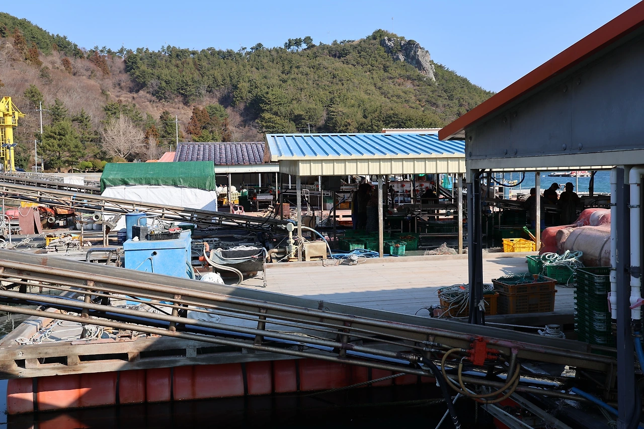 0R5A5003_новый размер.JPG