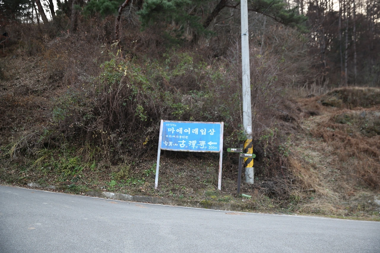 MG0A3799_новый размер.JPG