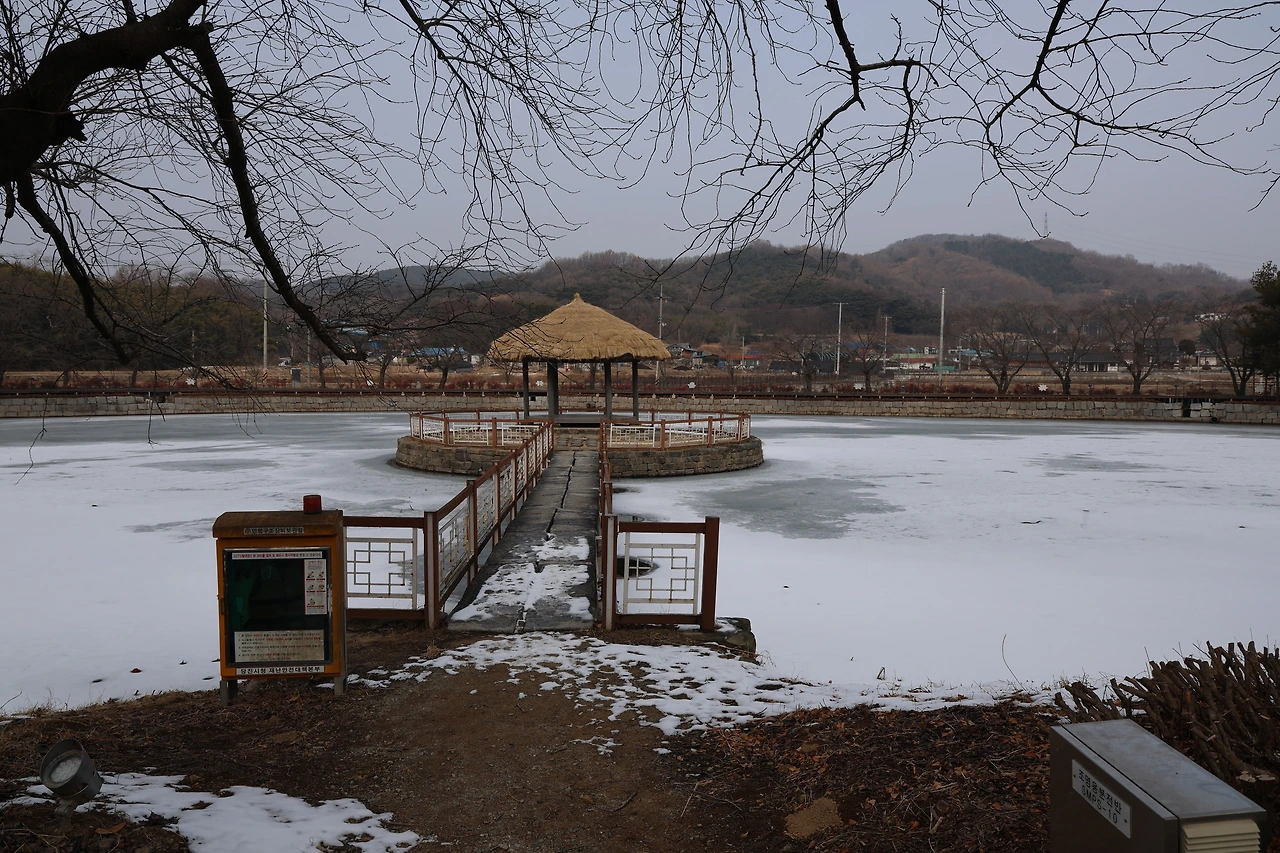 0R5A9702_новый размер.JPG