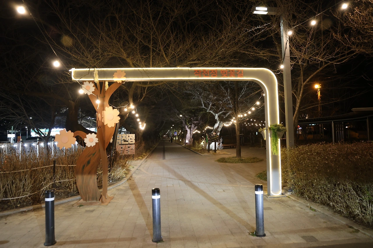 0R5A9872_новый размер.JPG