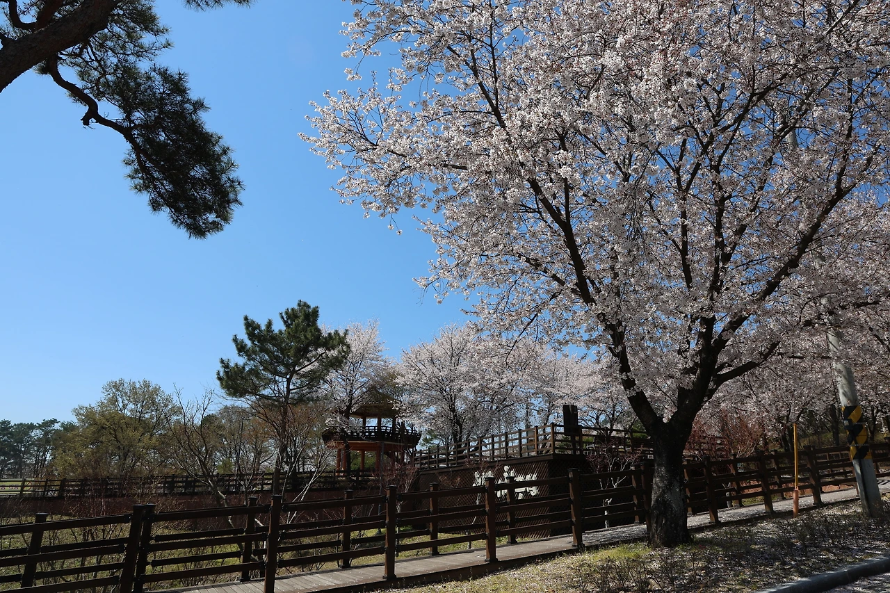 0R5A7710_новый размер.JPG