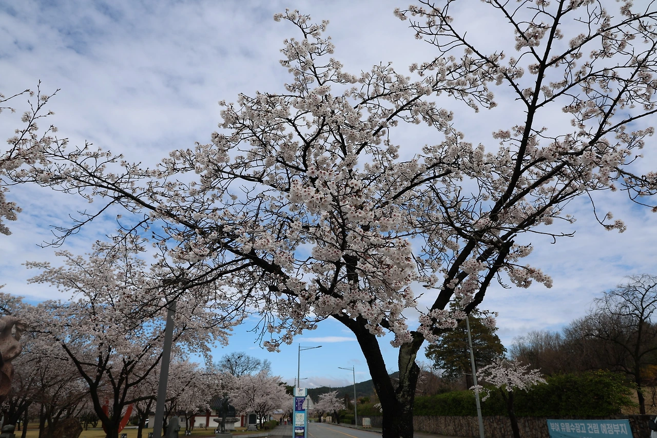 0R5A7313_новый размер.JPG