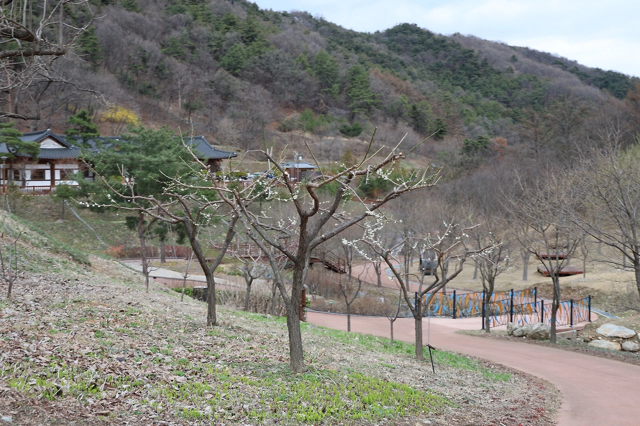 0R5A6877_новый размер.JPG