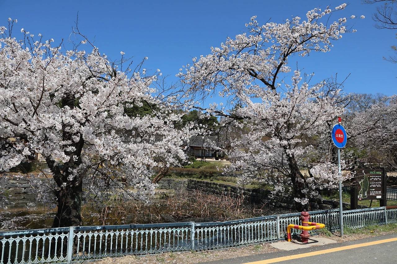 0R5A7694_новый размер.JPG