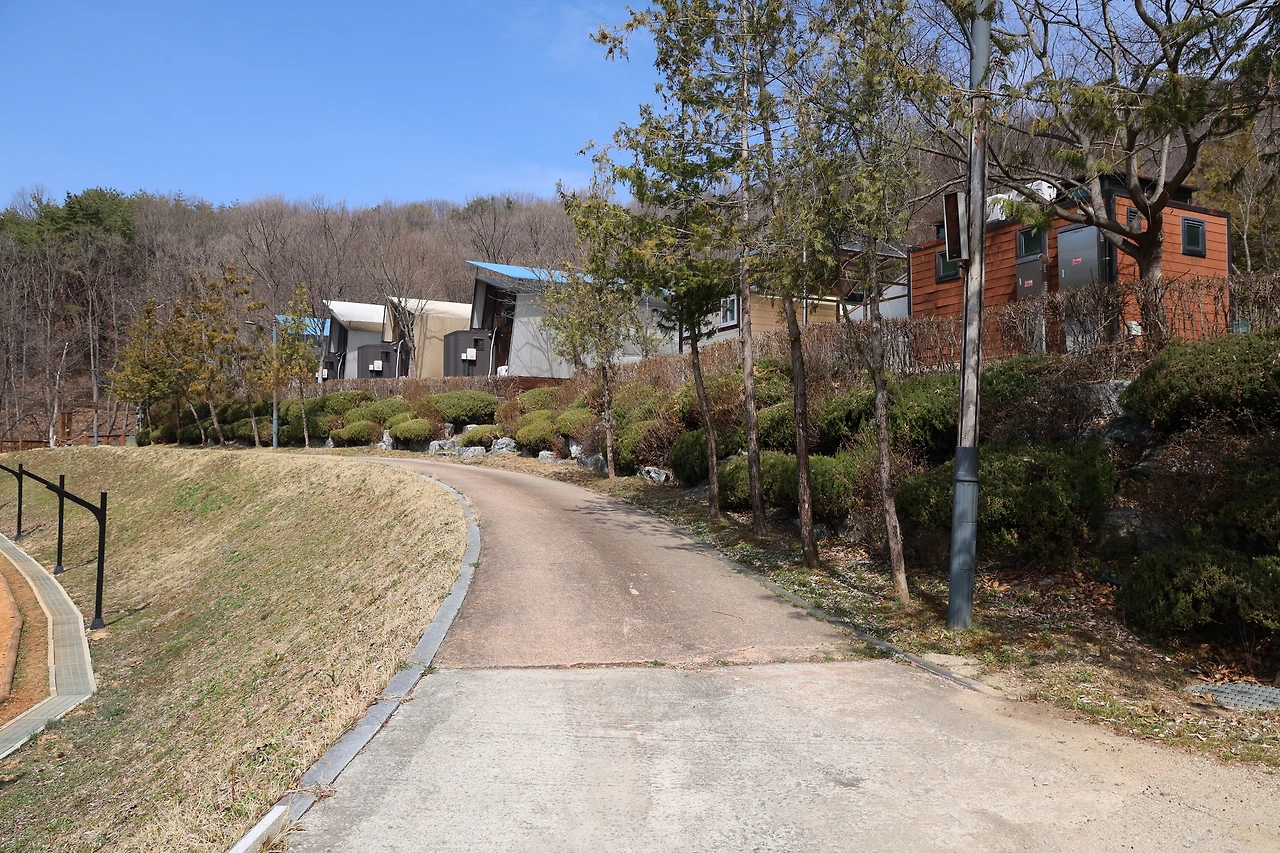 0R5A5797_новый размер.JPG