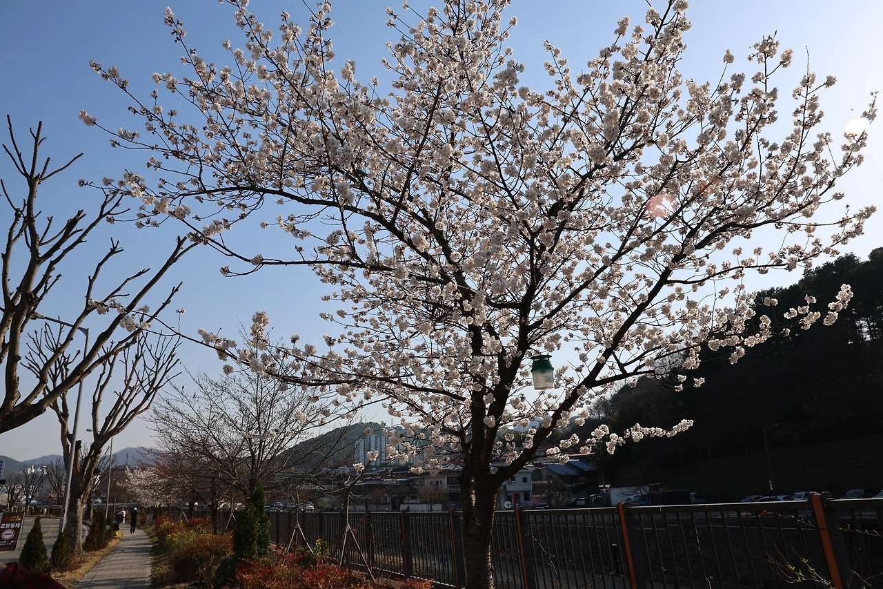 0R5A6533_новый размер.JPG