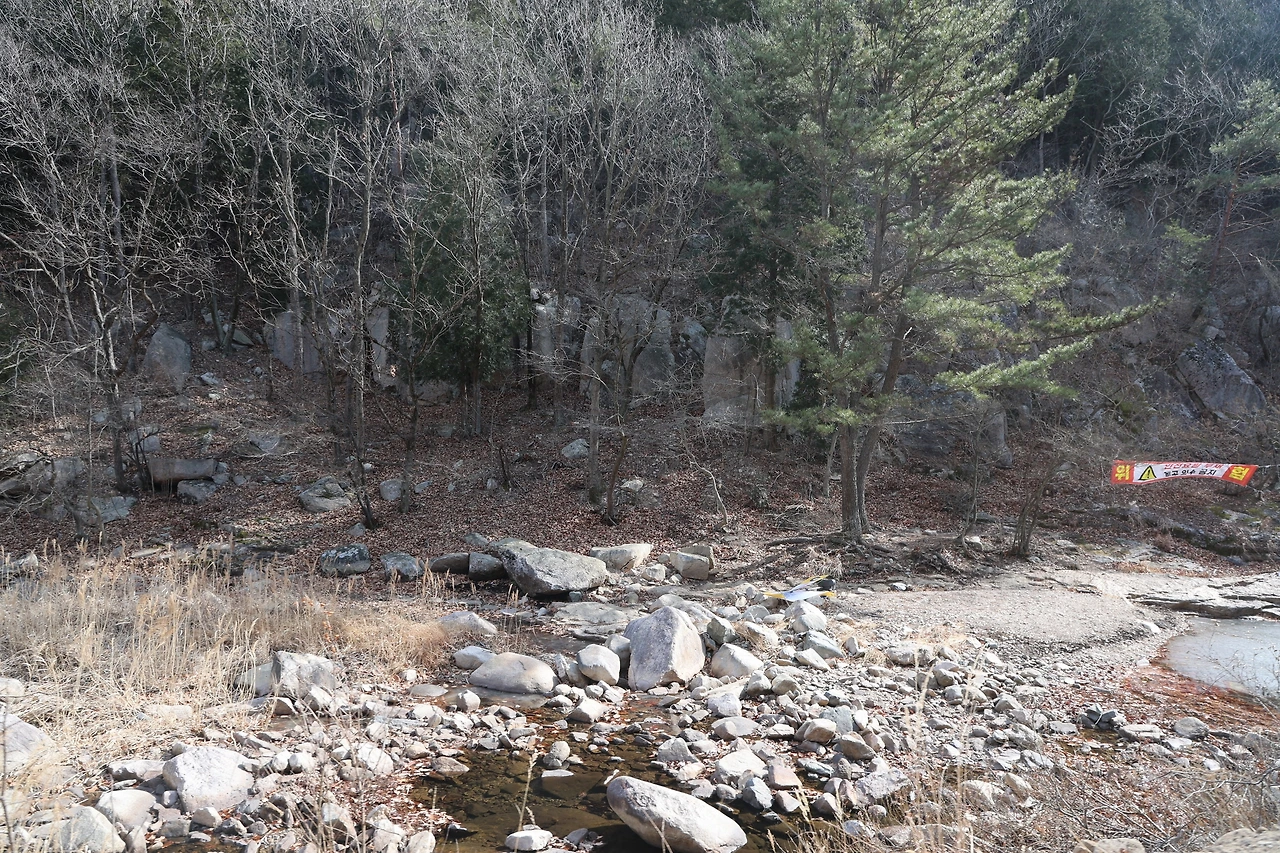 0R5A0273_новый размер.JPG