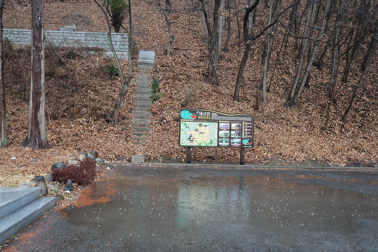 0R5A3090_новый размер.JPG