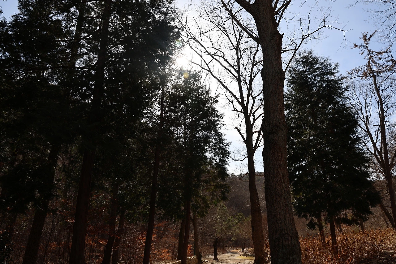 0R5A0284_новый размер.JPG