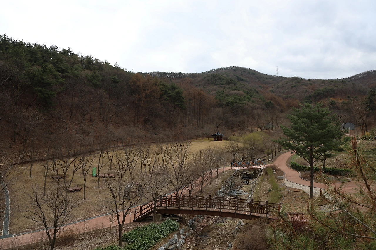 0R5A6865_новый размер.JPG