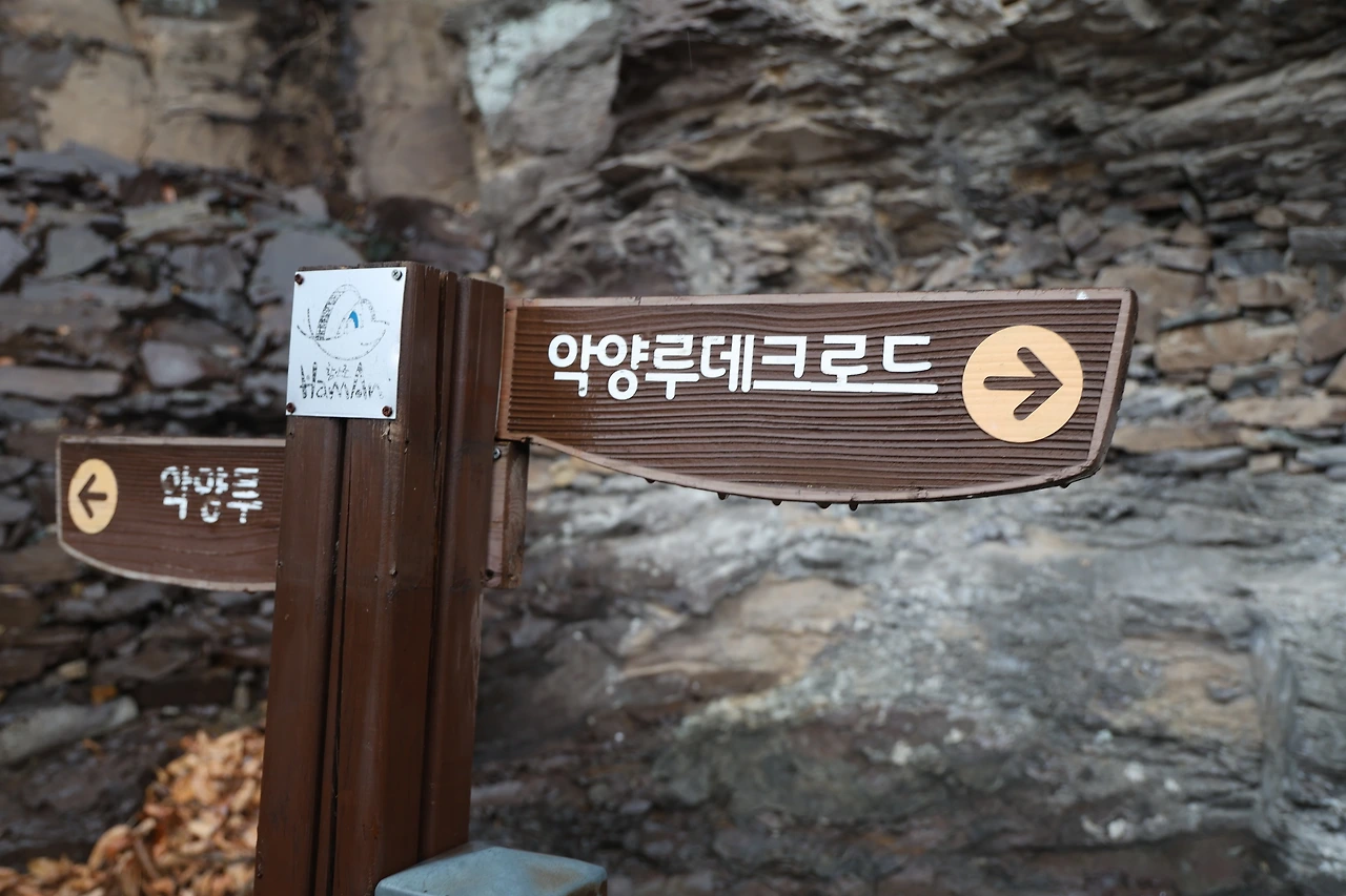 0R5A3106_новый размер.JPG