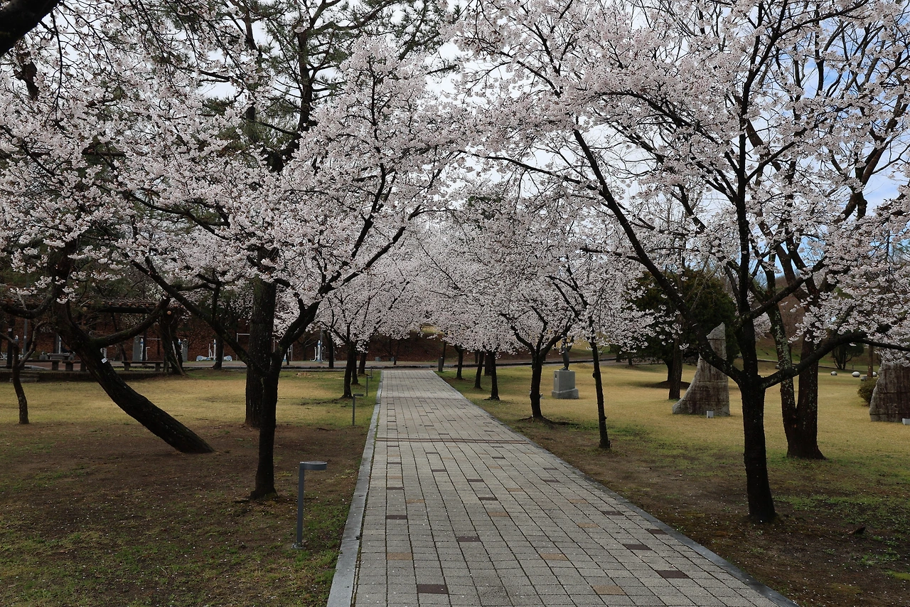 0R5A7329_новый размер.JPG