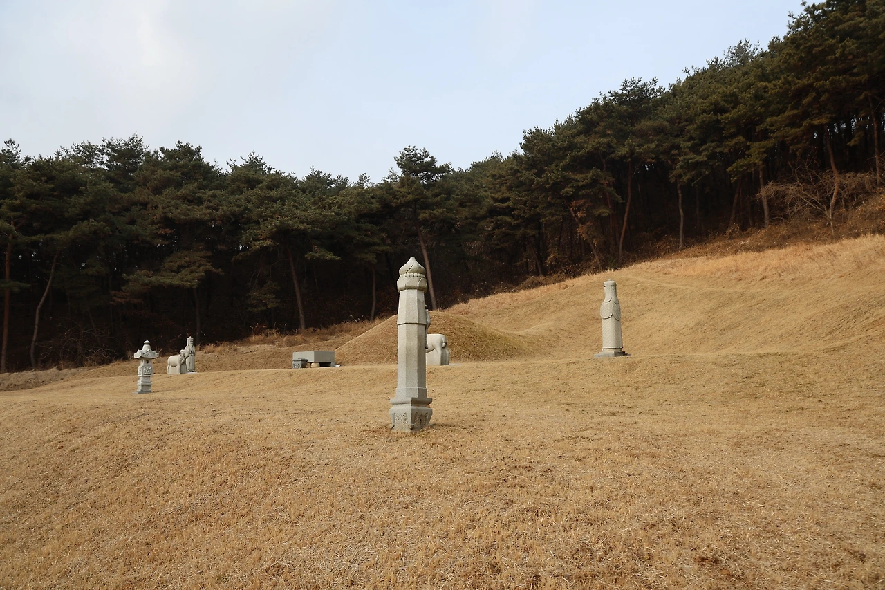 0R5A9718_новый размер.JPG