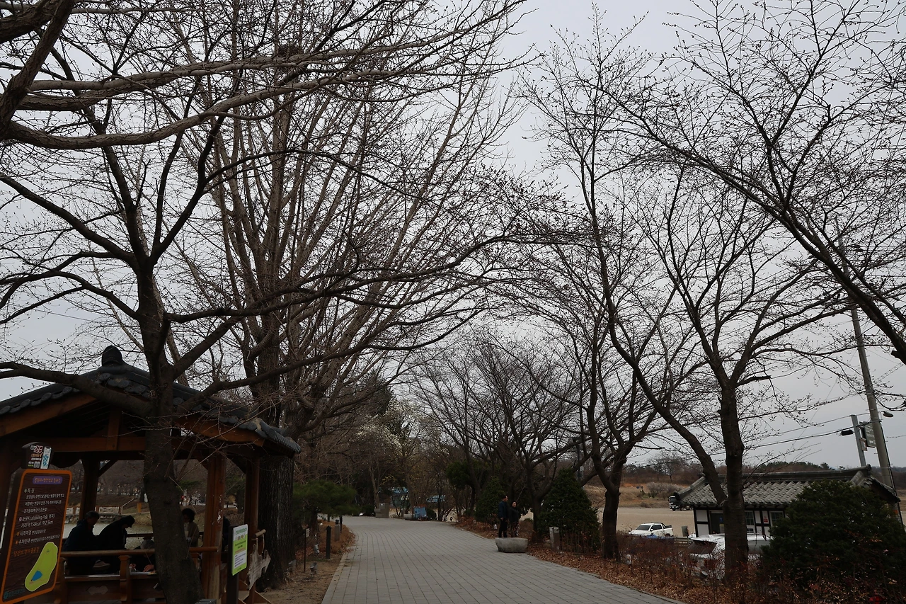 0R5A6706_новый размер.JPG