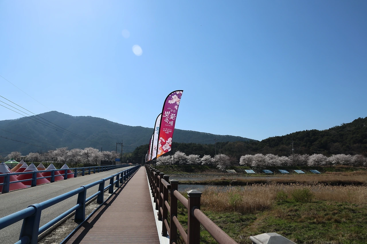 0R5A7789_новый размер.JPG