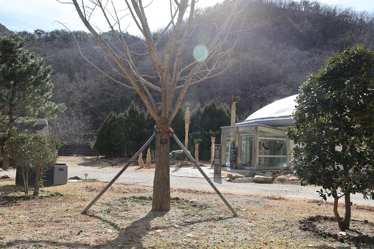 0R5A0280_новый размер.JPG