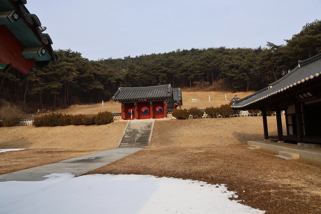 0R5A9715_новый размер.JPG