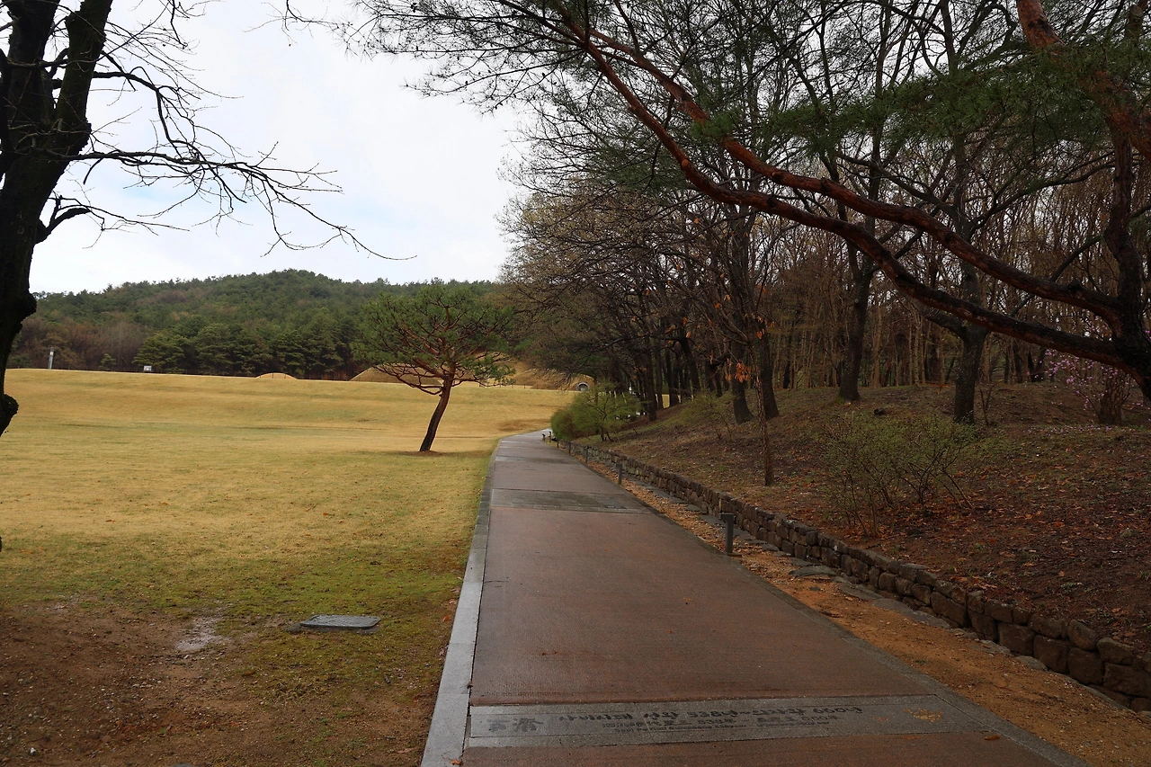 0R5A7283_новый размер.JPG