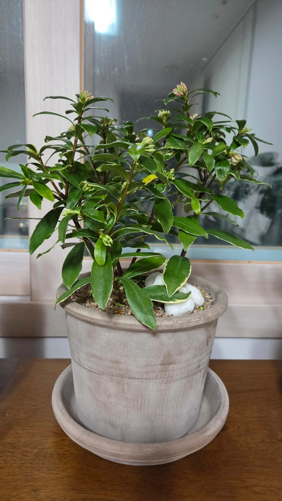 900%EF%BC%BF20260307%EF%BC%BF192938.jpg?type=w1