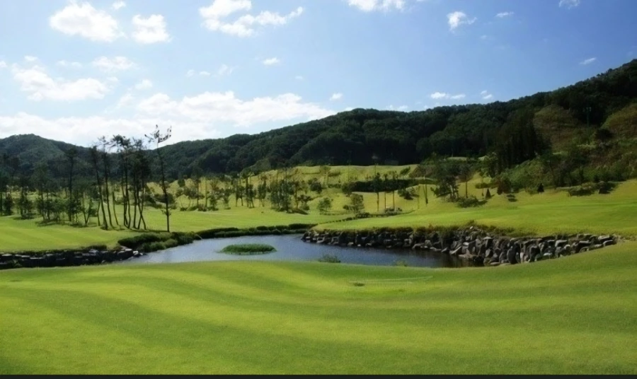 900%EF%BC%BFScreenshot%EF%BC%BF20260117%EF%BC%BF142340%EF%BC%BFNAVER.jpg?type=w966