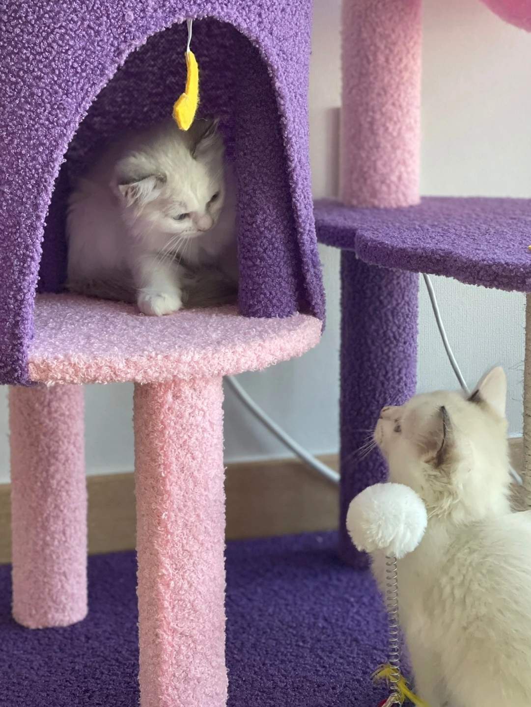 KakaoTalk_Photo_2023-10-09-21-50-00 001.jpeg