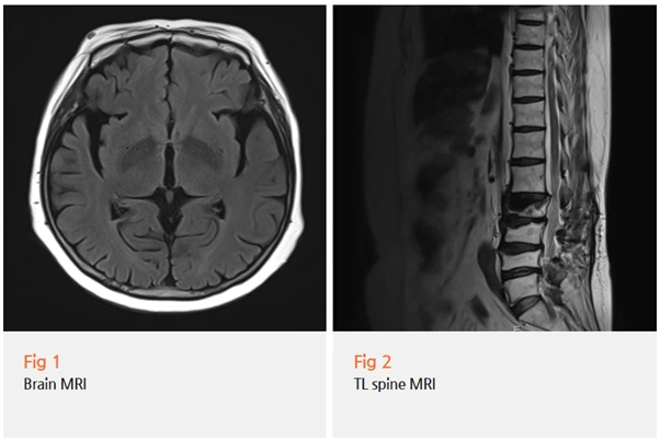 %EA%B7%B8%EB%A6%BC3.png?type=w966