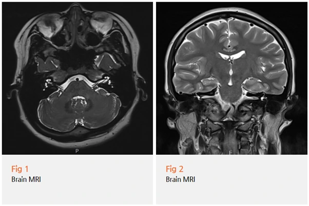 %EA%B7%B8%EB%A6%BC10.png?type=w966