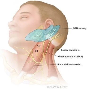 %EA%B7%B8%EB%A6%BC6.jpg?type=w966