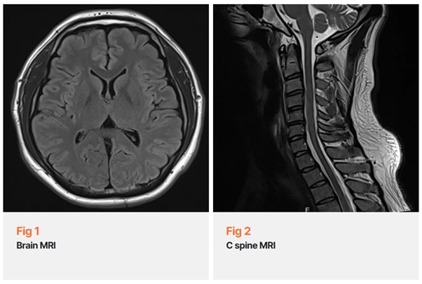 %EA%B7%B8%EB%A6%BC9.png?type=w966