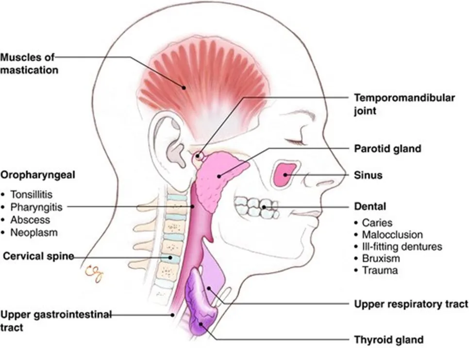 %EA%B7%B8%EB%A6%BC5.jpg?type=w966