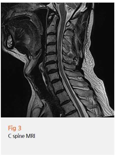 %EA%B7%B8%EB%A6%BC3.png?type=w966