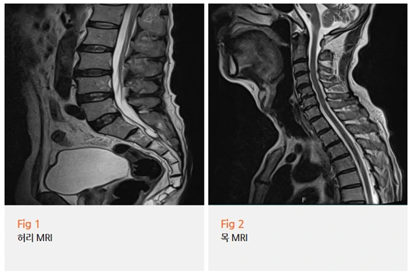 %EA%B7%B8%EB%A6%BC2.png?type=w966