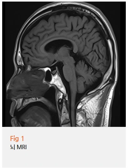 %EA%B7%B8%EB%A6%BC11.png?type=w966