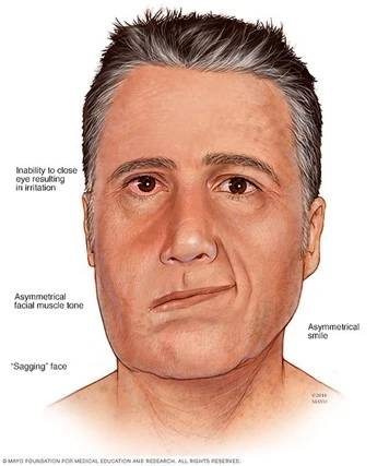 %EA%B7%B8%EB%A6%BC11.jpg?type=w966