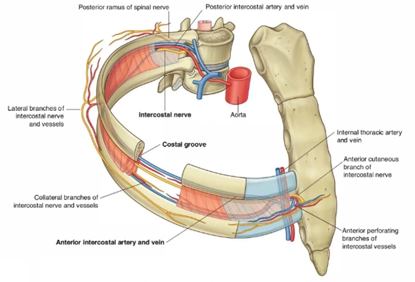 %EA%B7%B8%EB%A6%BC3.png?type=w966