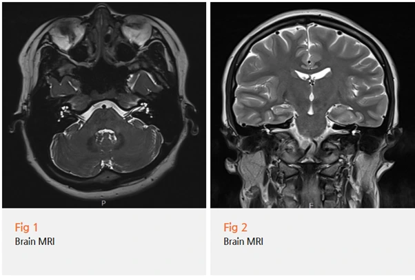 %EA%B7%B8%EB%A6%BC9.png?type=w966