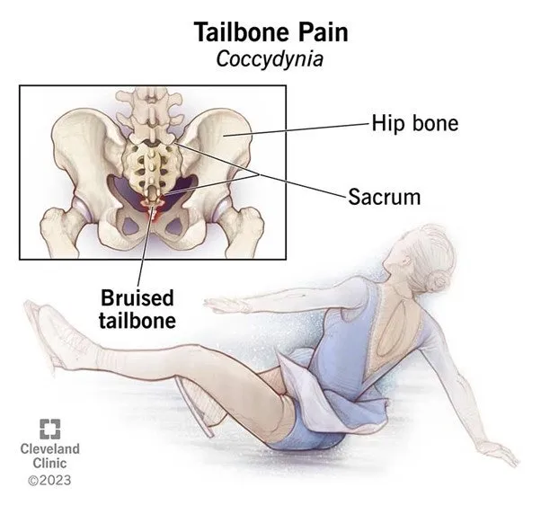 %EA%B7%B8%EB%A6%BC15.jpg?type=w966