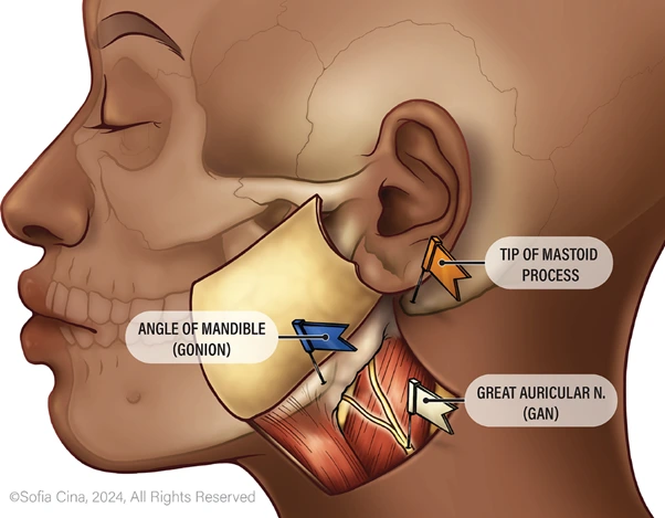 %EA%B7%B8%EB%A6%BC13.png?type=w966