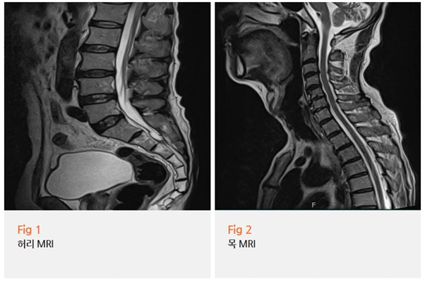 %EA%B7%B8%EB%A6%BC2.png?type=w966