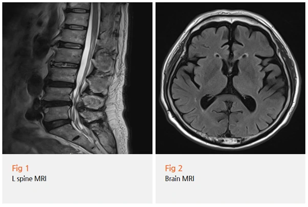 %EA%B7%B8%EB%A6%BC2.png?type=w966