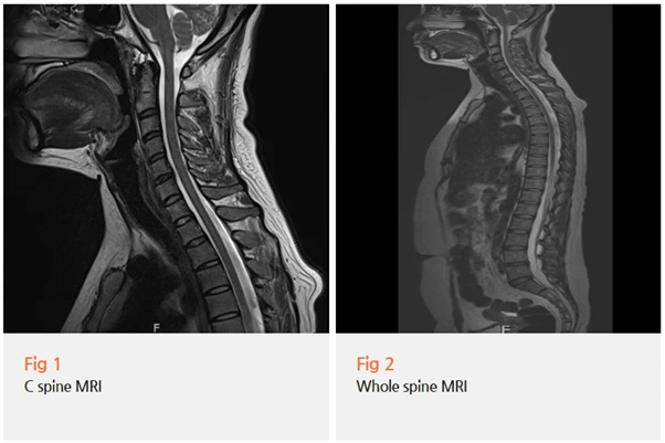 %EA%B7%B8%EB%A6%BC2.png?type=w966