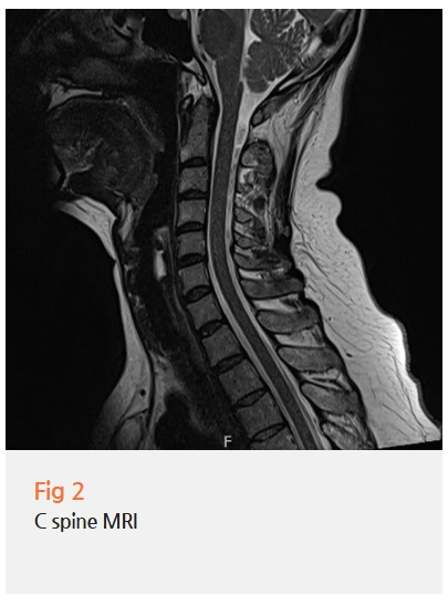 %EA%B7%B8%EB%A6%BC10.png?type=w966