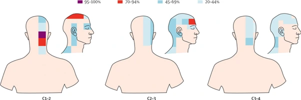 %EA%B7%B8%EB%A6%BC11.png?type=w966