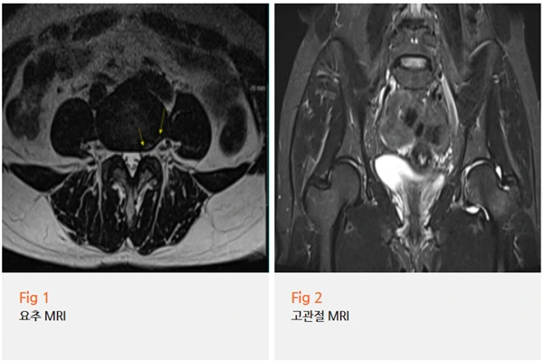 %EA%B7%B8%EB%A6%BC4.png?type=w966