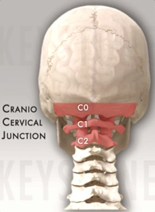 %EA%B7%B8%EB%A6%BC11.png?type=w966