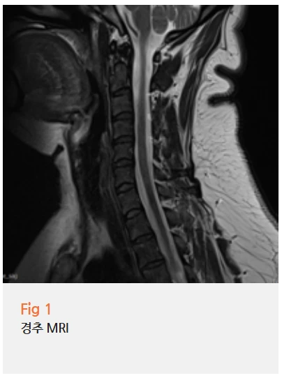 %EA%B7%B8%EB%A6%BC8.png?type=w966